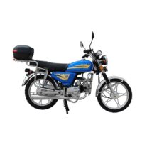 Мопед Regulmoto Alpha (RM-1) 2